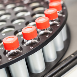 J.S. Hamilton - promocyje zdjęcia obiektów